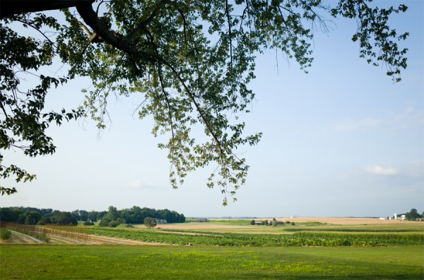 summer-at-the-farmhouse-hello-farmhouse