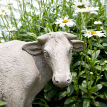 cow garden statue