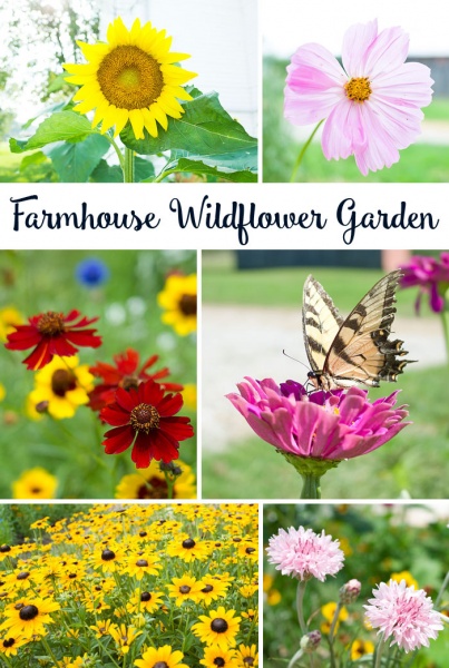 A few favorites from our Farmhouse Wildflower Garden