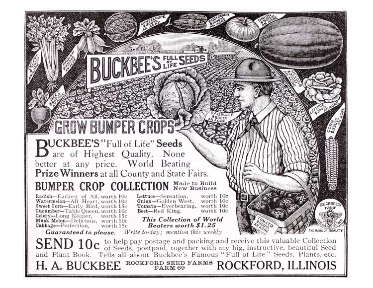 Buckbee's seeds vintage graphic