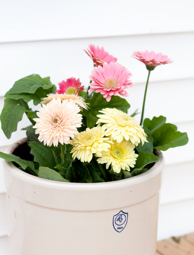 Brighten up your porch and garden with easy farmhouse style planters.